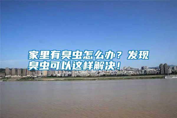 家里有臭蟲怎么辦？發(fā)現(xiàn)臭蟲可以這樣解決！
