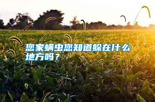 您家螨蟲您知道躲在什么地方嗎？