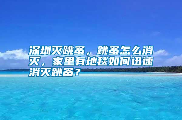 深圳滅跳蚤，跳蚤怎么消滅，家里有地毯如何迅速消滅跳蚤？