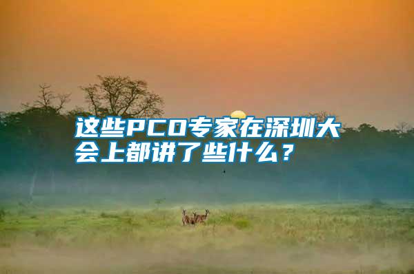 這些PCO專家在深圳大會(huì)上都講了些什么？