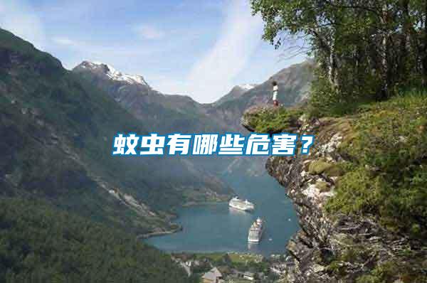 蚊蟲有哪些危害？