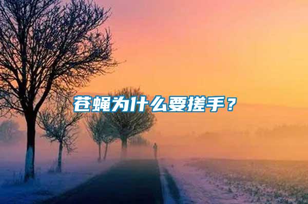 蒼蠅為什么要搓手？