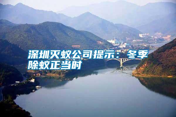 深圳滅蟻公司提示：冬季除蟻正當(dāng)時