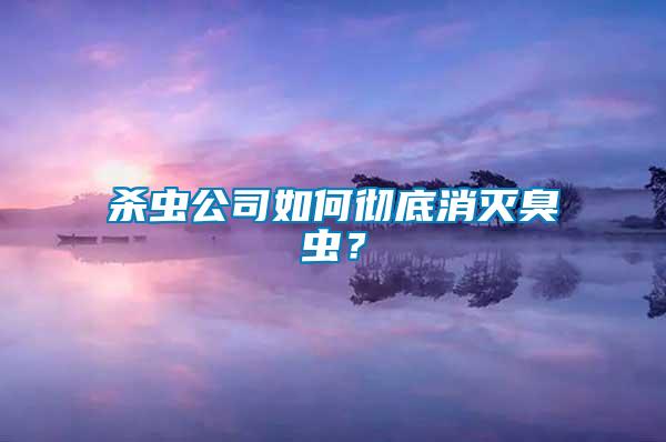 殺蟲(chóng)公司如何徹底消滅臭蟲(chóng)？