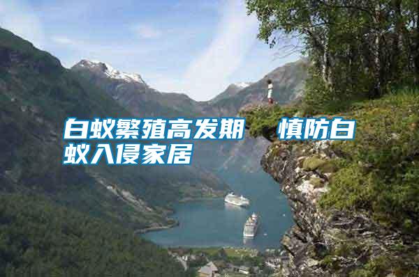 白蟻繁殖高發(fā)期 慎防白蟻入侵家居