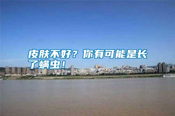 皮膚不好？你有可能是長了螨蟲！