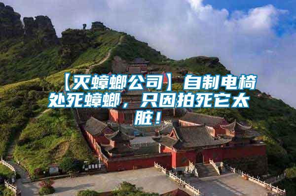 【滅蟑螂公司】自制電椅處死蟑螂，只因拍死它太臟！