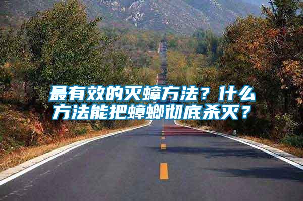 最有效的滅蟑方法？什么方法能把蟑螂徹底殺滅？
