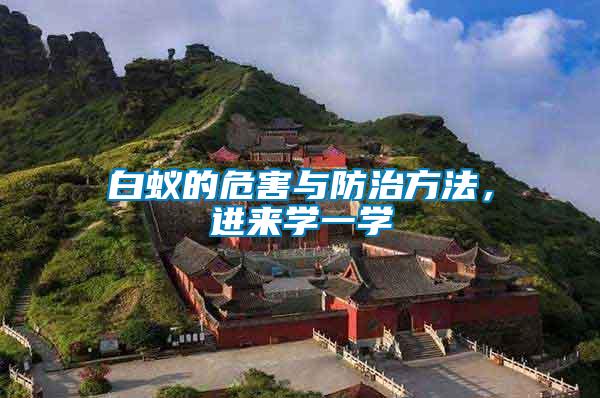 白蟻的危害與防治方法,進(jìn)來學(xué)一學(xué)