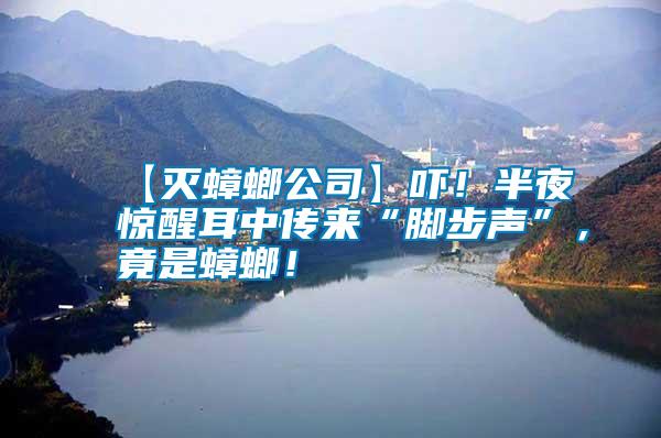 【滅蟑螂公司】嚇！半夜驚醒耳中傳來“腳步聲”，竟是蟑螂！