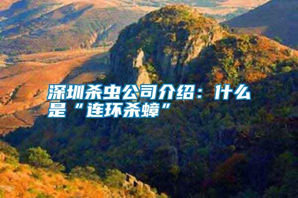 深圳殺蟲公司介紹:什么是“連環(huán)殺蟑”