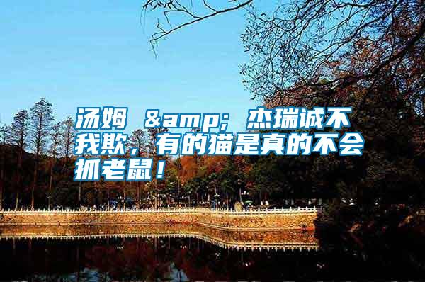 湯姆 & 杰瑞誠不我欺，有的貓是真的不會(huì)抓老鼠！