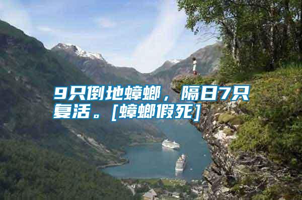 9只倒地蟑螂，隔日7只復(fù)活。[蟑螂假死]