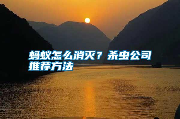 螞蟻怎么消滅？殺蟲公司推薦方法