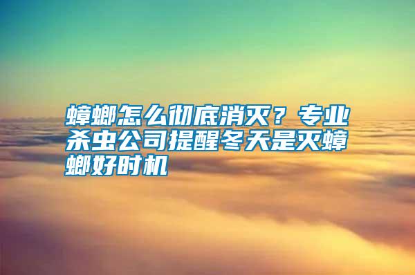 蟑螂怎么徹底消滅？專業(yè)殺蟲公司提醒冬天是滅蟑螂好時(shí)機(jī)