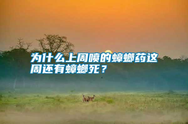 為什么上周噴的蟑螂藥這周還有蟑螂死？