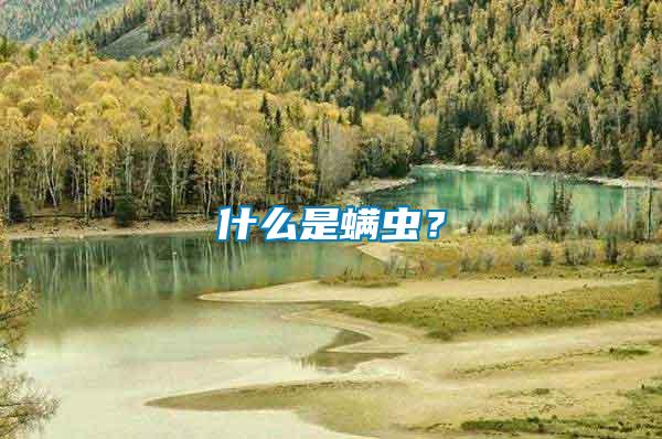 什么是螨蟲？