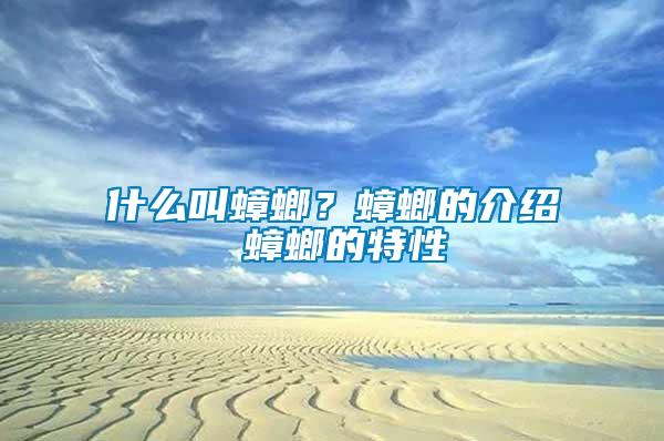 什么叫蟑螂？蟑螂的介紹 蟑螂的特性