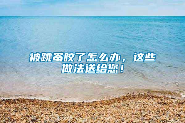 被跳蚤咬了怎么辦，這些做法送給您！