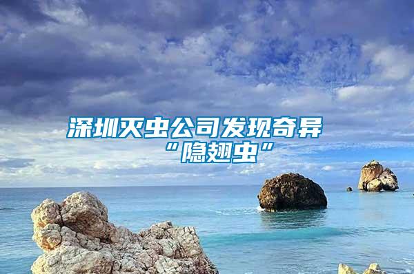 深圳滅蟲(chóng)公司發(fā)現(xiàn)奇異“隱翅蟲(chóng)”