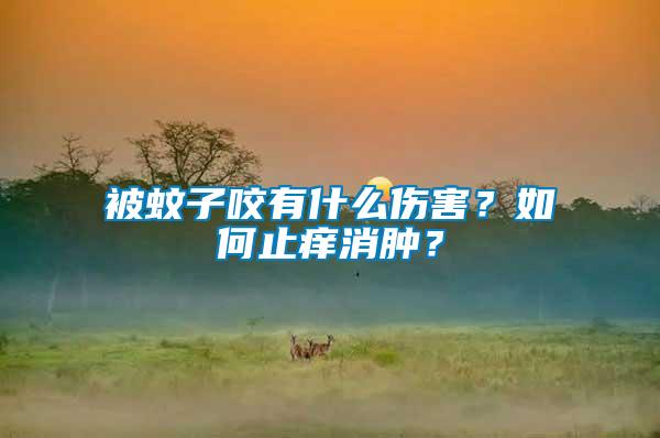 被蚊子咬有什么傷害？如何止癢消腫？