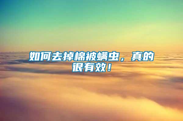 如何去掉棉被螨蟲，真的很有效！