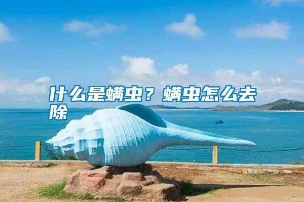 什么是螨蟲？螨蟲怎么去除