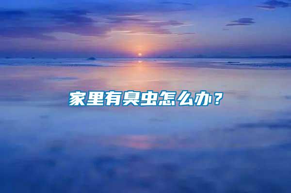 家里有臭蟲怎么辦？