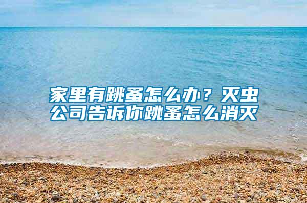 家里有跳蚤怎么辦？滅蟲(chóng)公司告訴你跳蚤怎么消滅