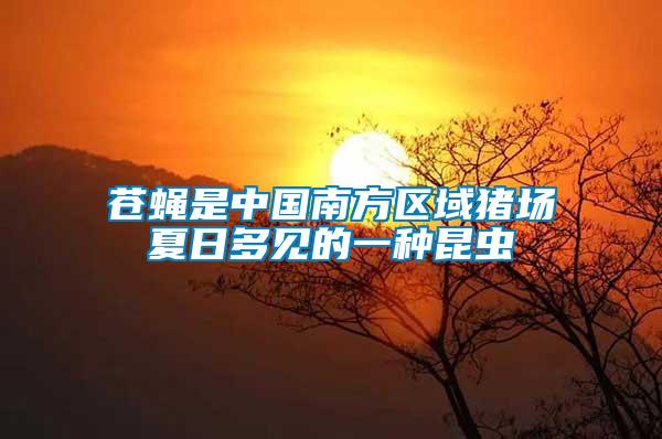 蒼蠅是中國(guó)南方區(qū)域豬場(chǎng)夏日多見的一種昆蟲