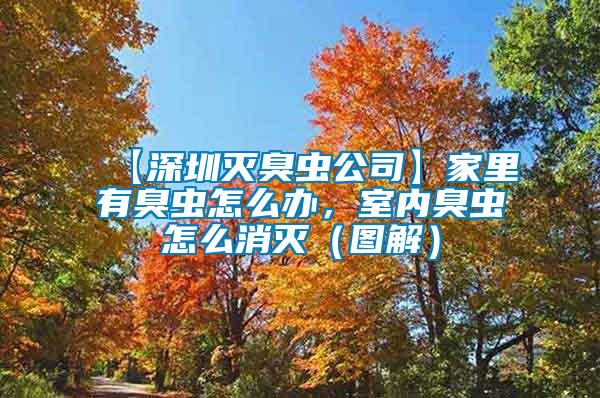 【深圳滅臭蟲公司】家里有臭蟲怎么辦，室內(nèi)臭蟲怎么消滅（圖解）