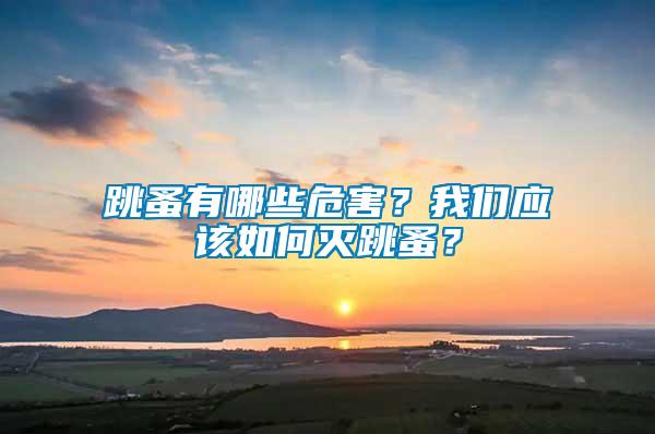 跳蚤有哪些危害？我們應(yīng)該如何滅跳蚤？