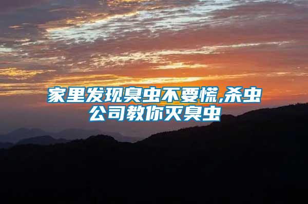 家里發(fā)現(xiàn)臭蟲(chóng)不要慌,殺蟲(chóng)公司教你滅臭蟲(chóng)