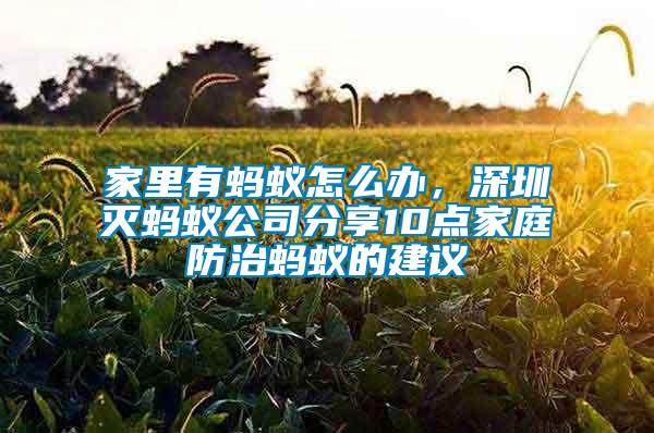 家里有螞蟻怎么辦，深圳滅螞蟻公司分享10點(diǎn)家庭防治螞蟻的建議