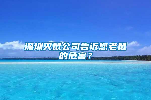 深圳滅鼠公司告訴您老鼠的危害？