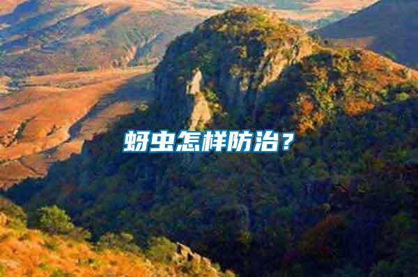 蚜蟲怎樣防治？