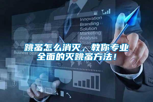 跳蚤怎么消滅，教你專(zhuān)業(yè)全面的滅跳蚤方法！