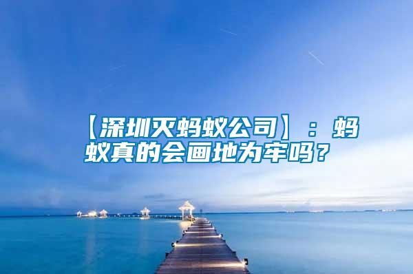 【深圳滅螞蟻公司】:螞蟻真的會畫地為牢嗎?