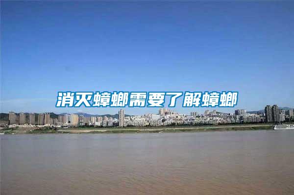 消滅蟑螂需要了解蟑螂