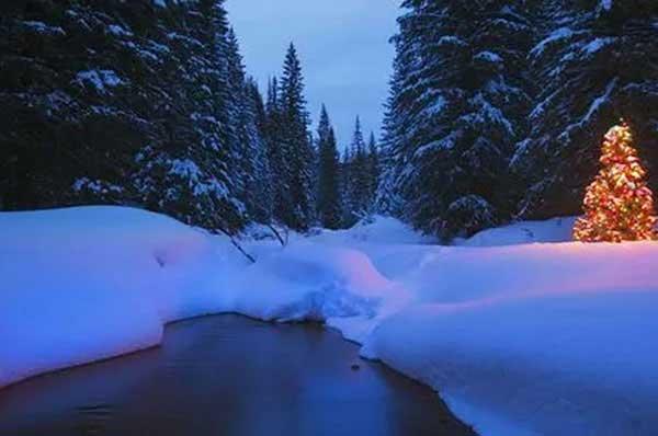 深圳白蟻防治：主要通過(guò)“爬、飛、帶”三種途徑入侵居民家