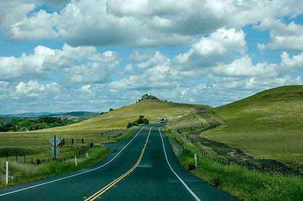 蟑螂的危害有哪些？滅蟑螂公司告訴您！