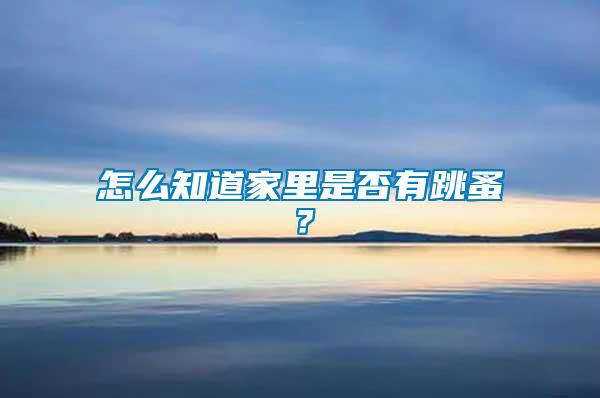 怎么知道家里是否有跳蚤？