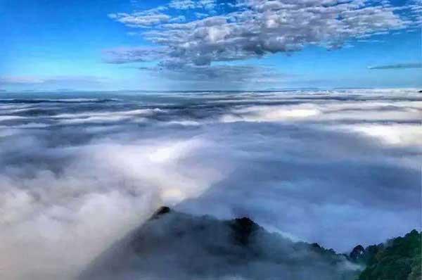 簡(jiǎn)述深圳滅跳蚤的常用方法！