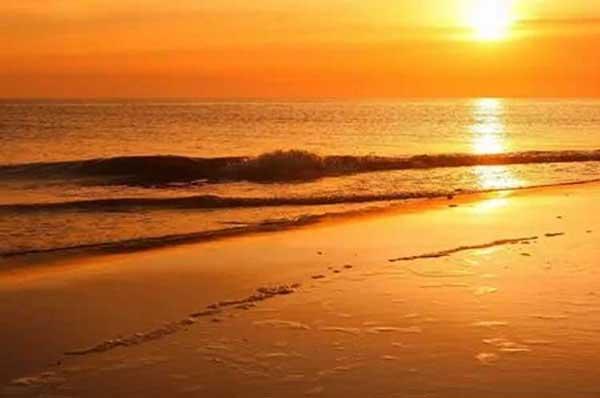 如何對(duì)深圳殺蟲公司收費(fèi)進(jìn)行了解