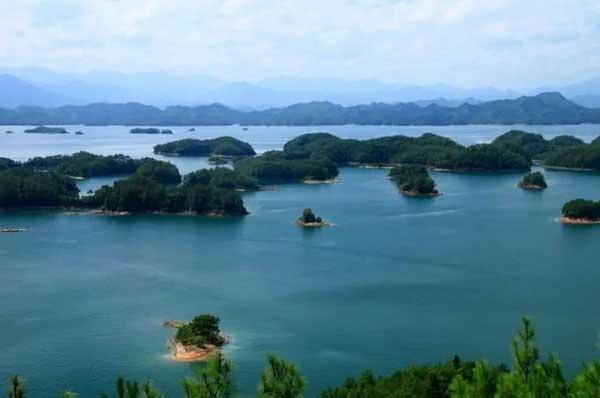 關(guān)于老鼠，你知道多少？