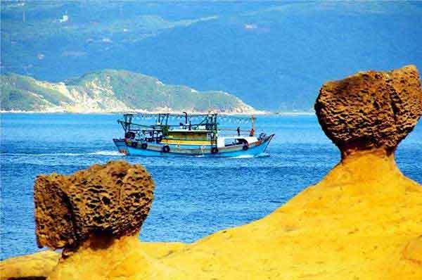 白蟻生存需要那些特殊條件？