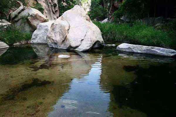 【深圳消殺公司】傳說中的“寨卡”病毒離我們究竟有多遠(yuǎn)？