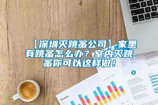 【深圳滅跳蚤公司】家里有跳蚤怎么辦？室內(nèi)滅跳蚤你可以這樣做！