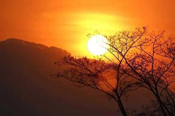 【殺蟲公司】恐怖！小區(qū)地下室成跳蚤成災，半分鐘就可以爬滿腿部！