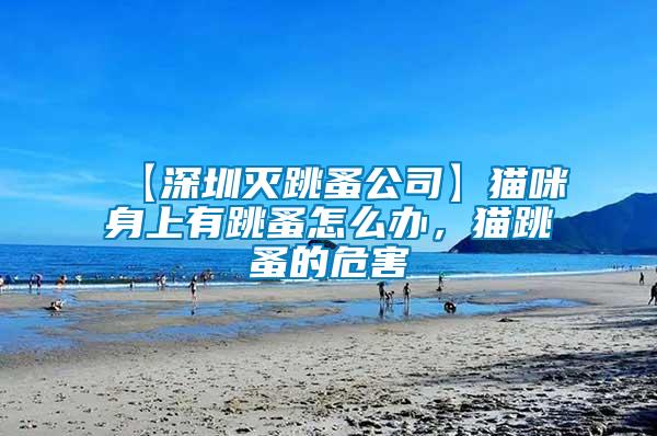 【深圳滅跳蚤公司】貓咪身上有跳蚤怎么辦，貓?zhí)榈奈：?/></p>
             <p style=